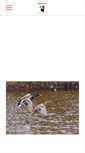 Mobile Screenshot of ctwaterfowlers.org